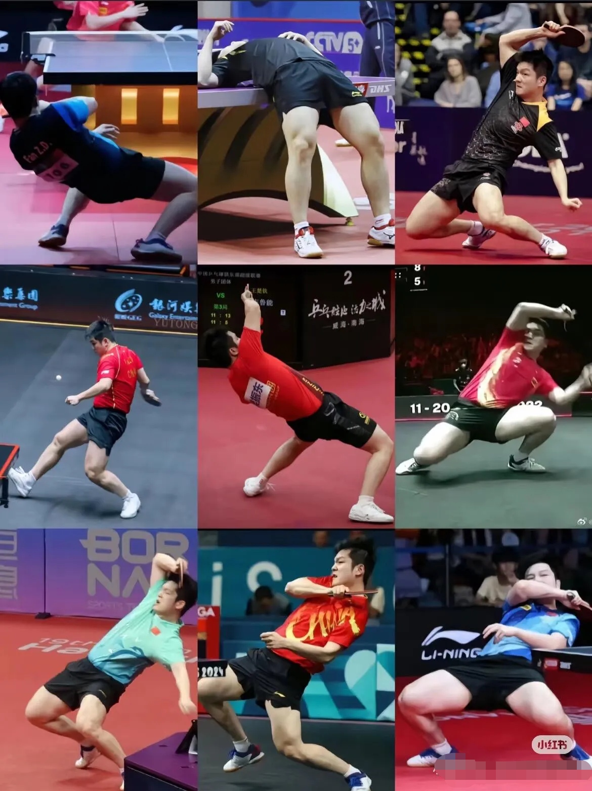 德国队完胜波兰队,樊振东统治全场 德国队完胜波兰队,樊振东统治全场