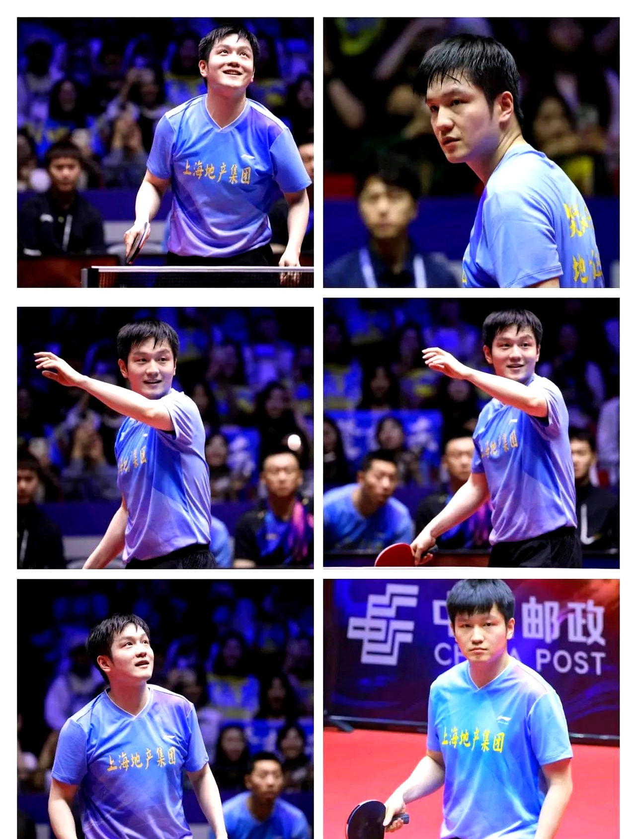 奥地利队横扫英格兰队，樊振东状态火热