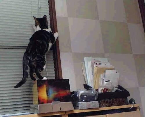 热火焚尽旧神谕，东契奇书写新约，一场定义时代分野的夜晚