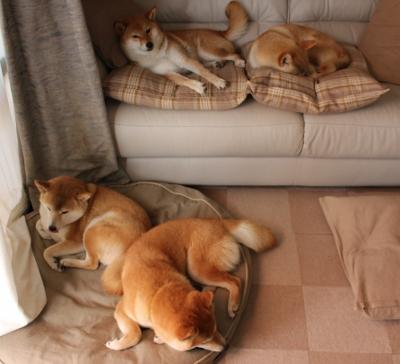 东方美学席卷巴黎，当山本耀司遇见佩德里的足球哲学