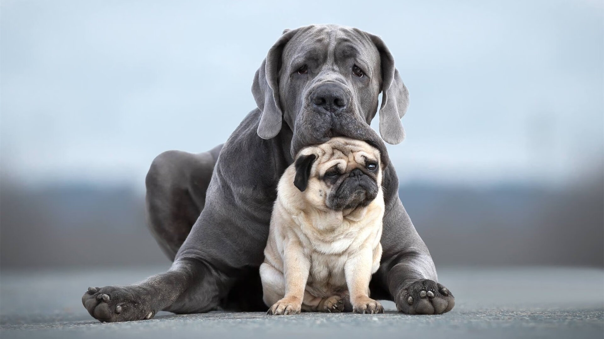 杜兰特定律,当统治级数据成为仅需一场的绝对宣言