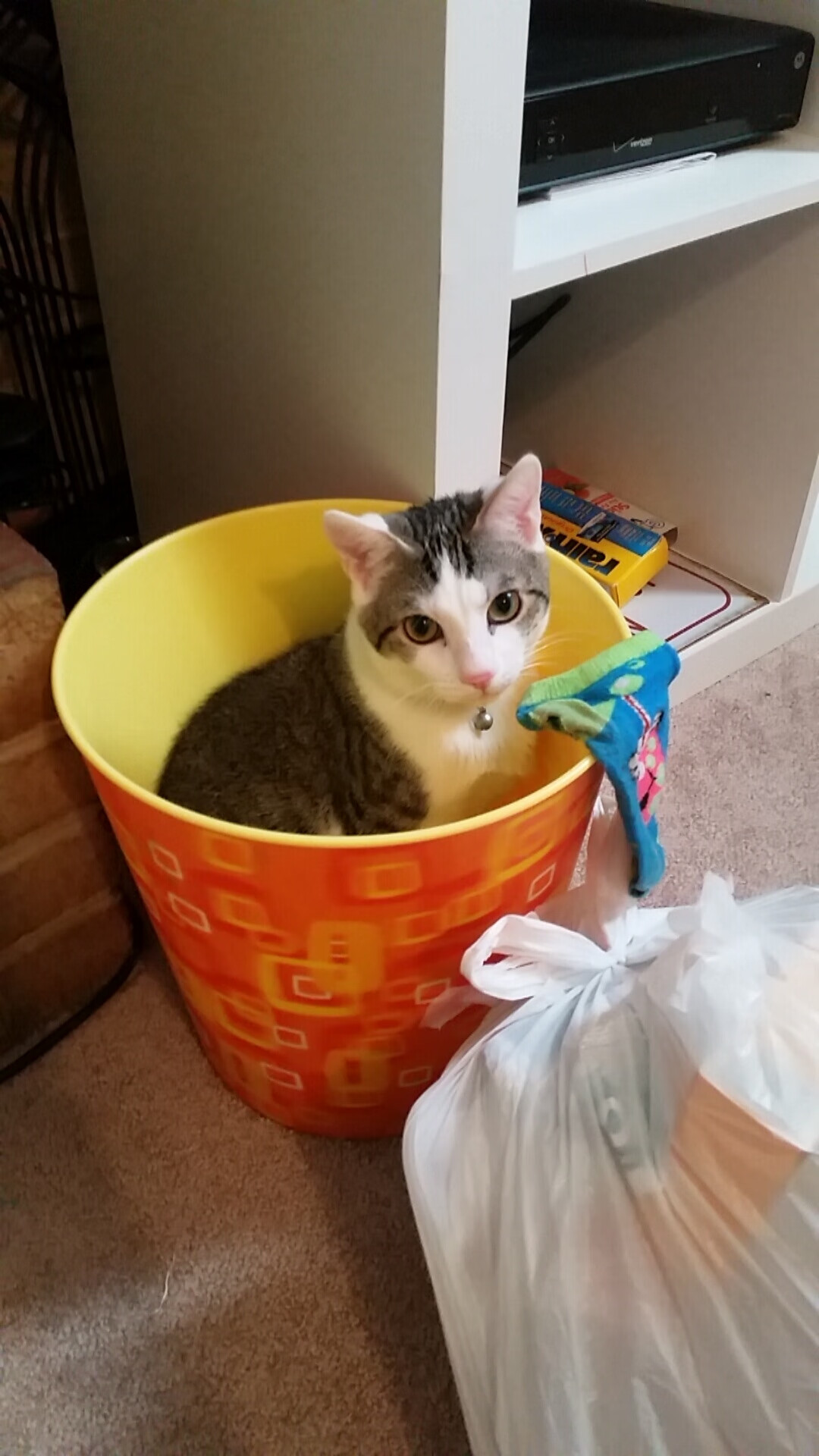 利拉德时间失效？猛龙终结开拓者连胜，哈登式大场面成隐形标尺