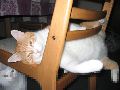 唯一幸存者，冰岛生死战绝杀法国，卡拉斯科的火与冰之歌