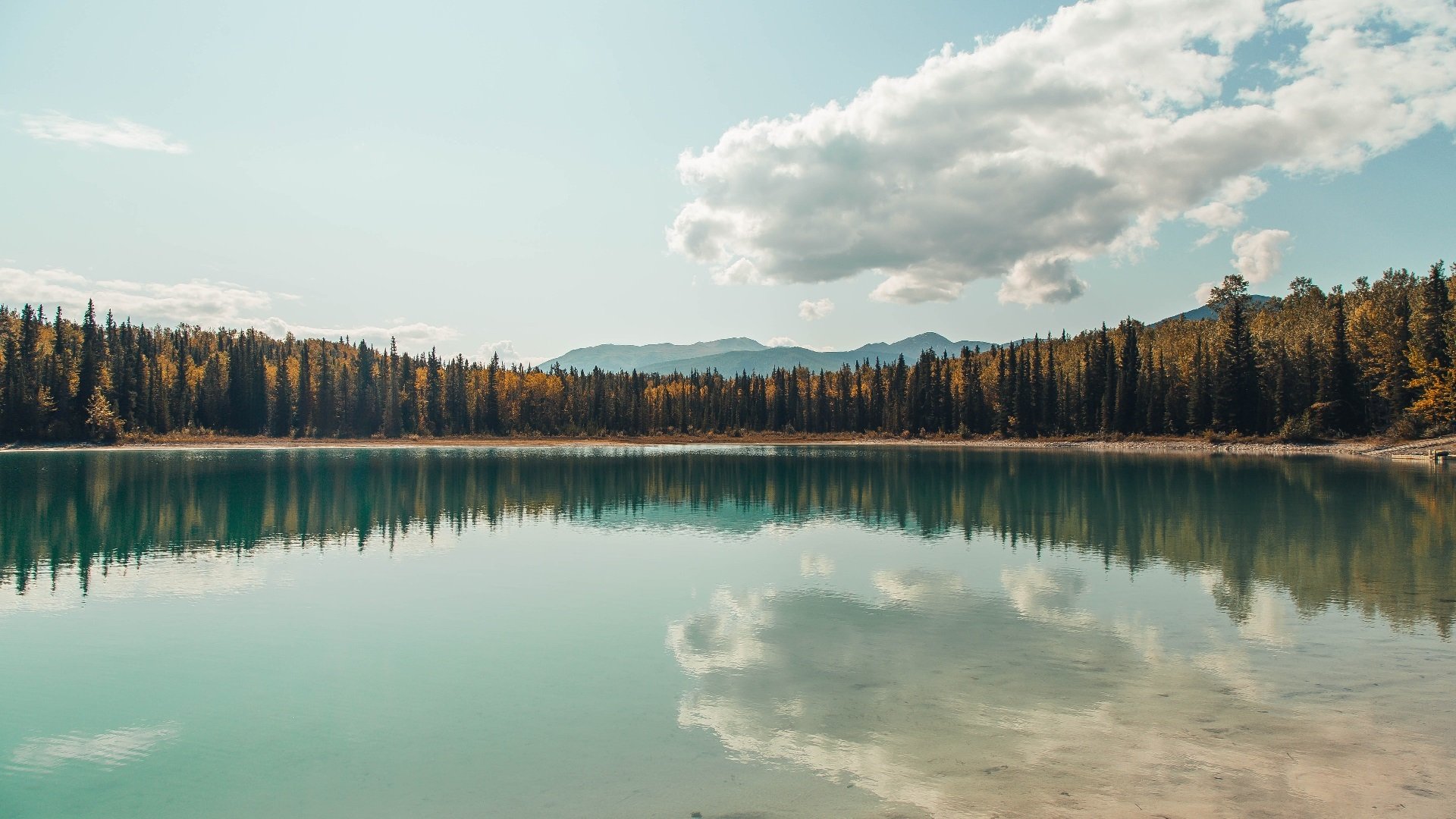 黑天鹅之舞,当扎克·拉文将篮球场化为他的交响乐池