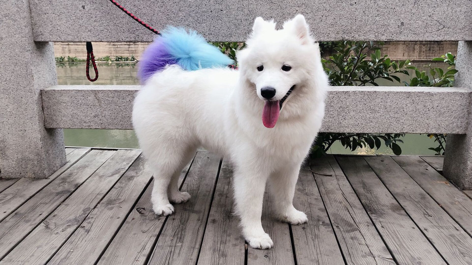 绝杀时刻，当德国战车碾过秘鲁高原，苏亚雷斯在压力中重生