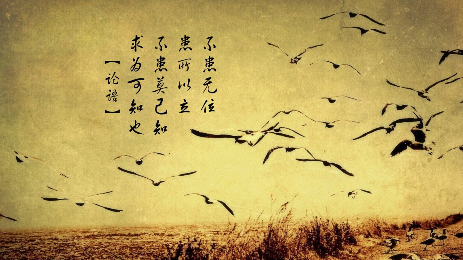 当北美雷霆遇上东北虎，欧文在跨洋焦点战中封神