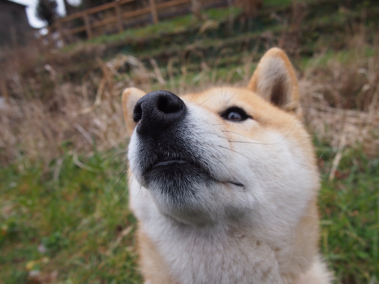 骑士东征遇伏击，广厦单节闪电战颠覆篮球宇宙