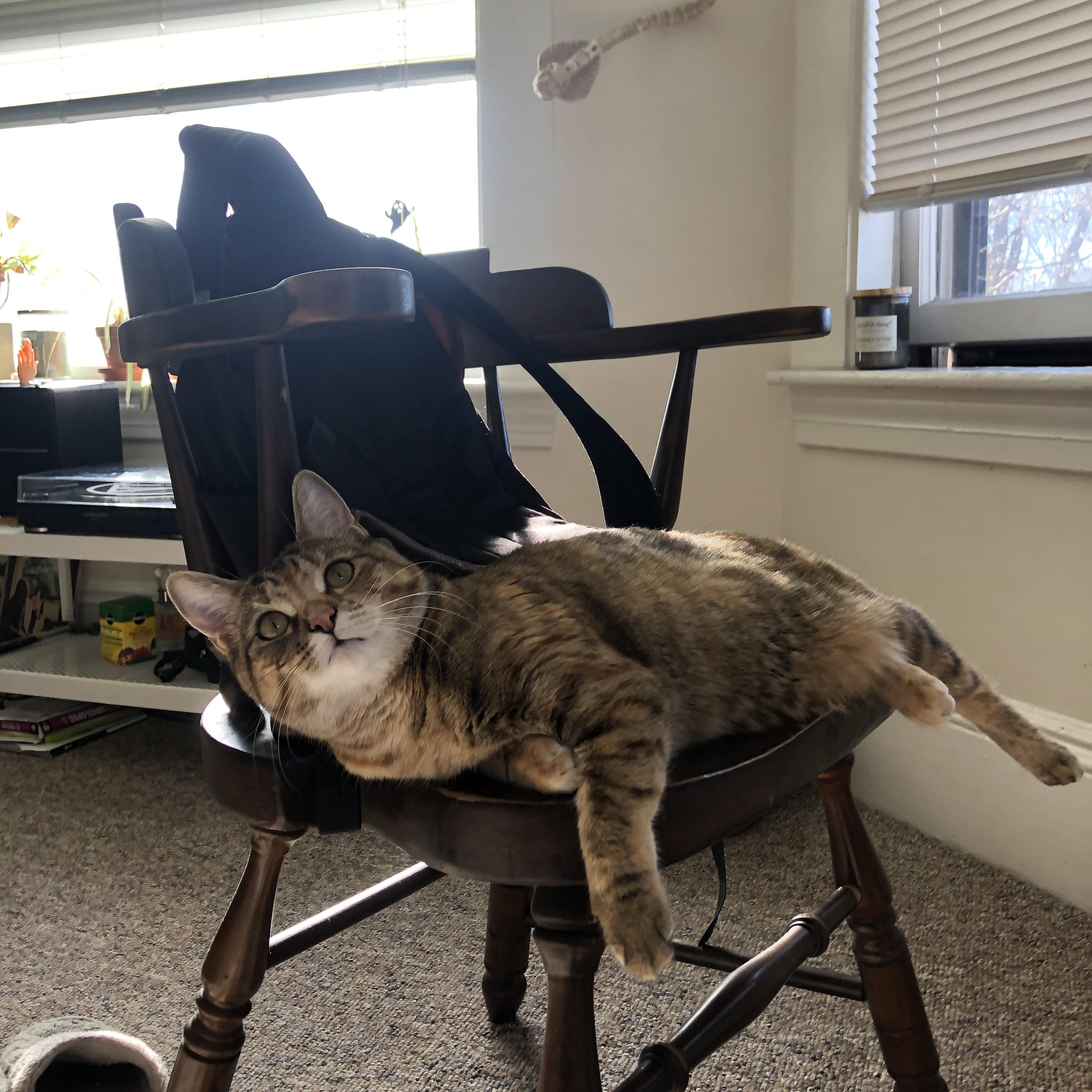 资本暗战，荷兰血拼中国市场的足球博弈，楚阿梅尼德甲争冠战接管比赛