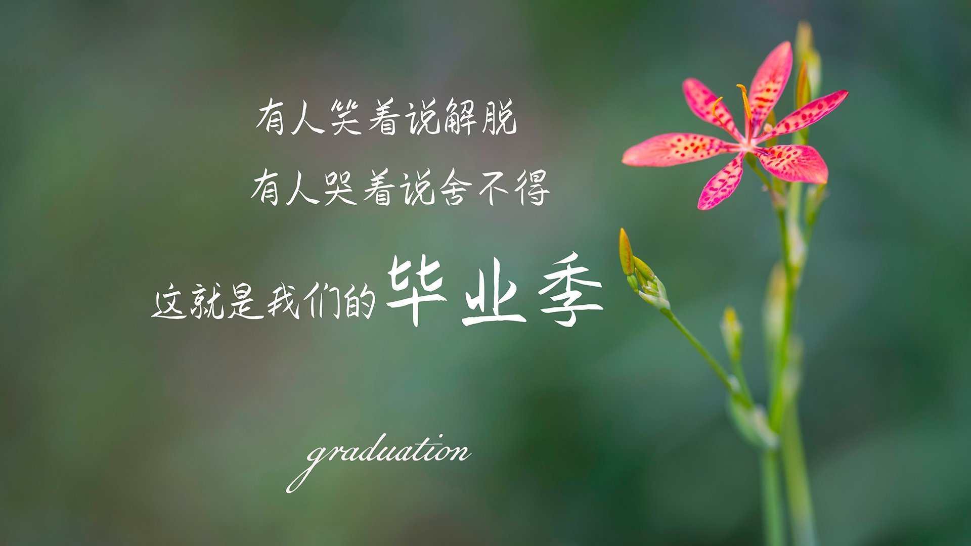 巴林之夜，当特奥将赛道划为独奏的琴弦