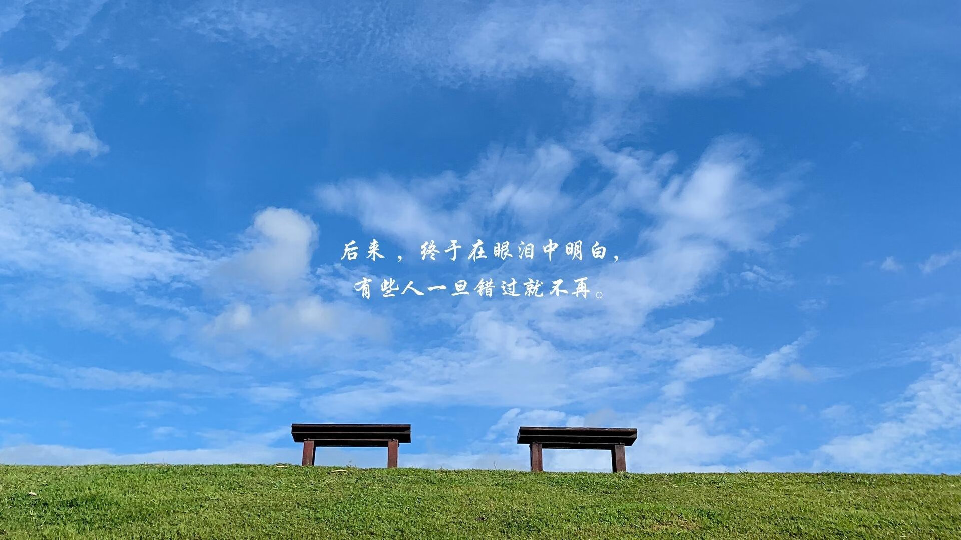 希腊终结苏格兰晋级梦，布鲁诺成关键先生