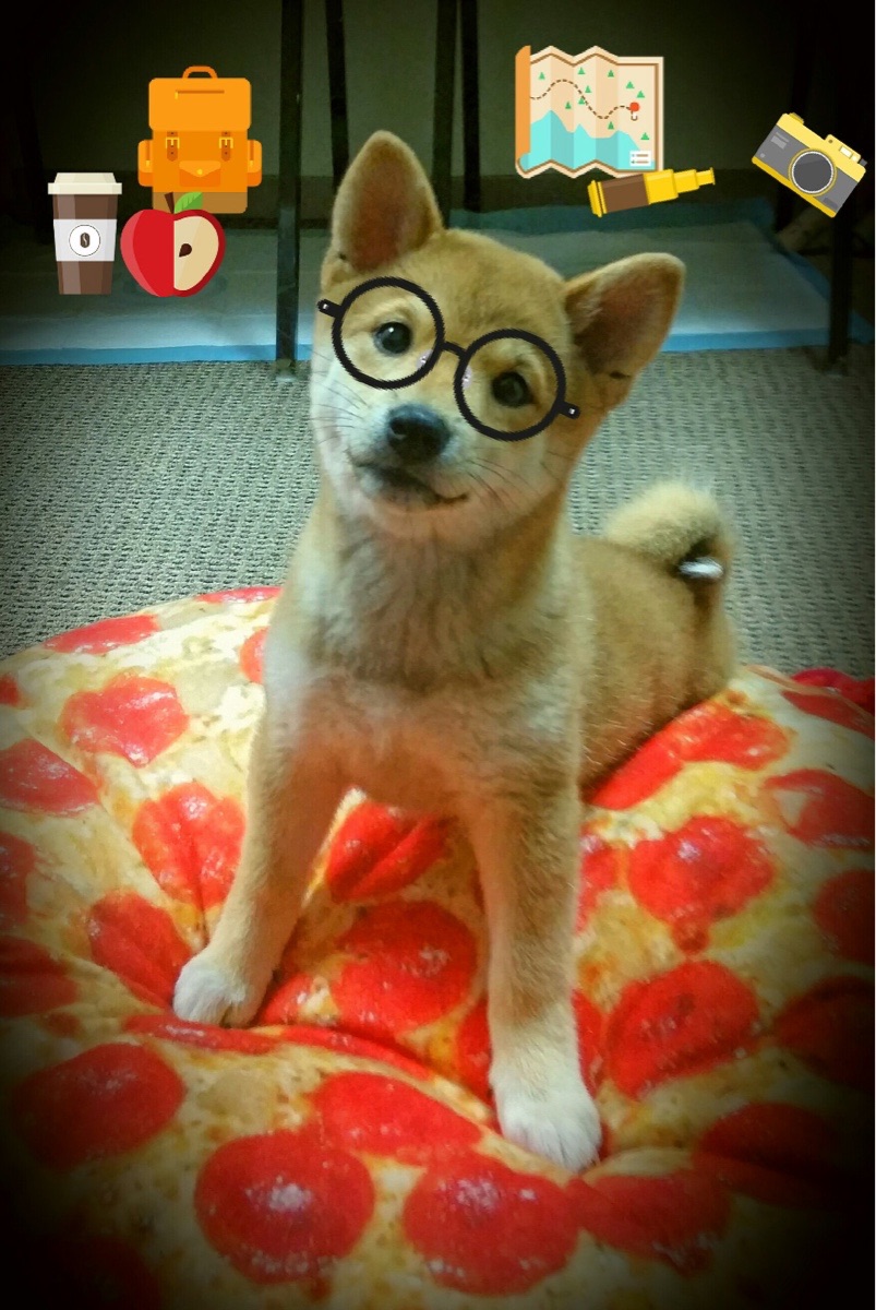 雷鬼与狼嚎，奥纳纳在牙买加-罗马史诗之夜砌成的叹息之墙