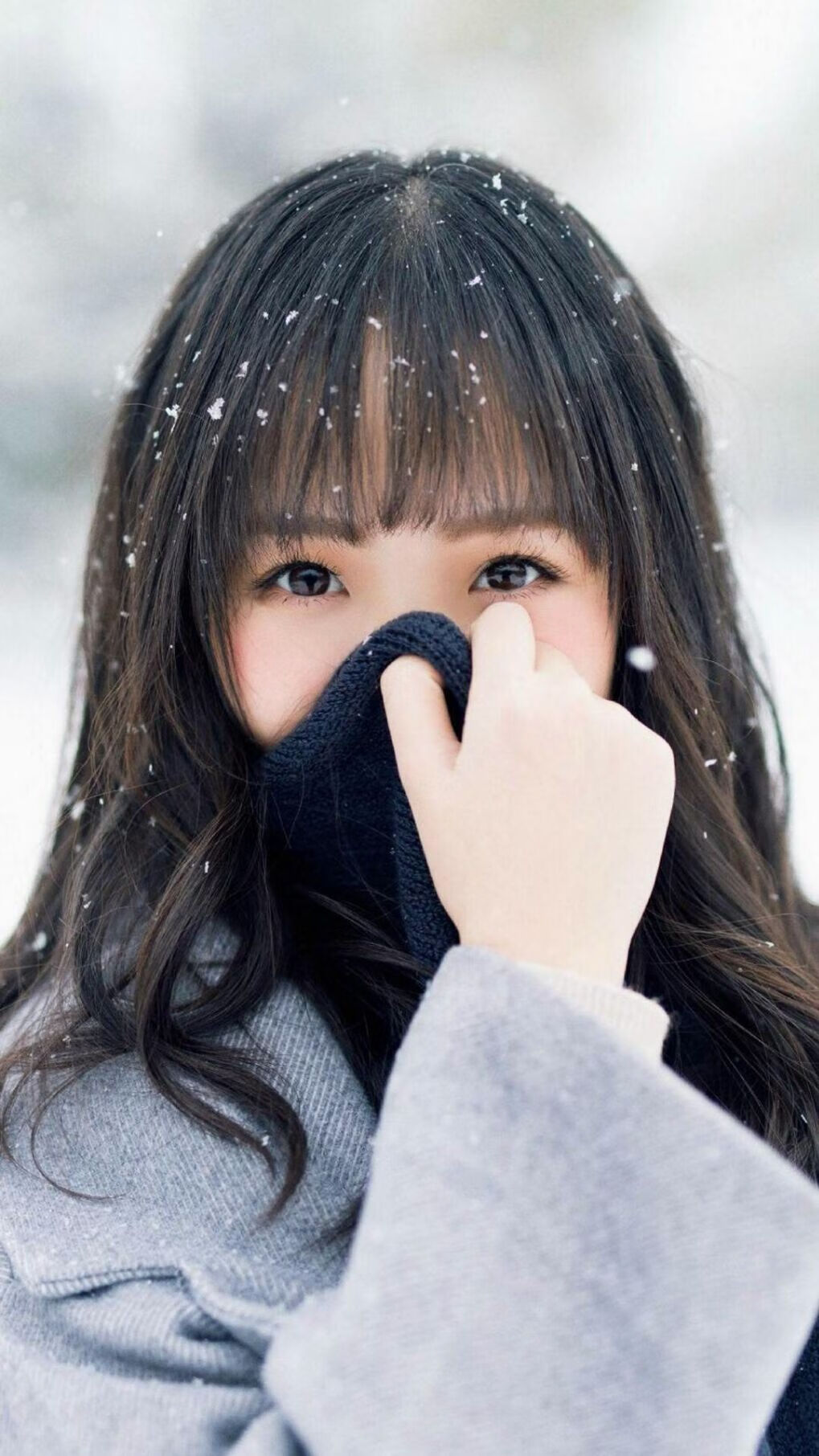 西决生死战，当欧罗巴的烽火点燃，葡萄牙军团如何攻克勒沃库森要塞