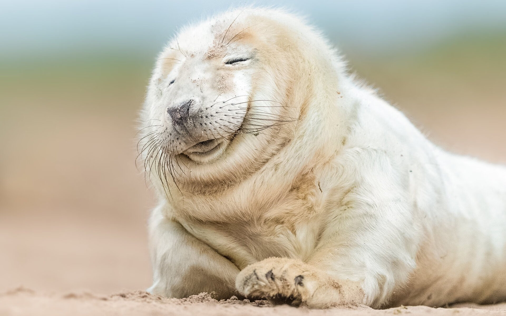 亚特兰大碾压夺冠,阿尔瓦雷斯金球定义新传奇