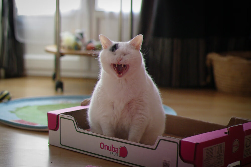 超越边界的逆转，从广厦翻盘骑士到保罗接管世界杯