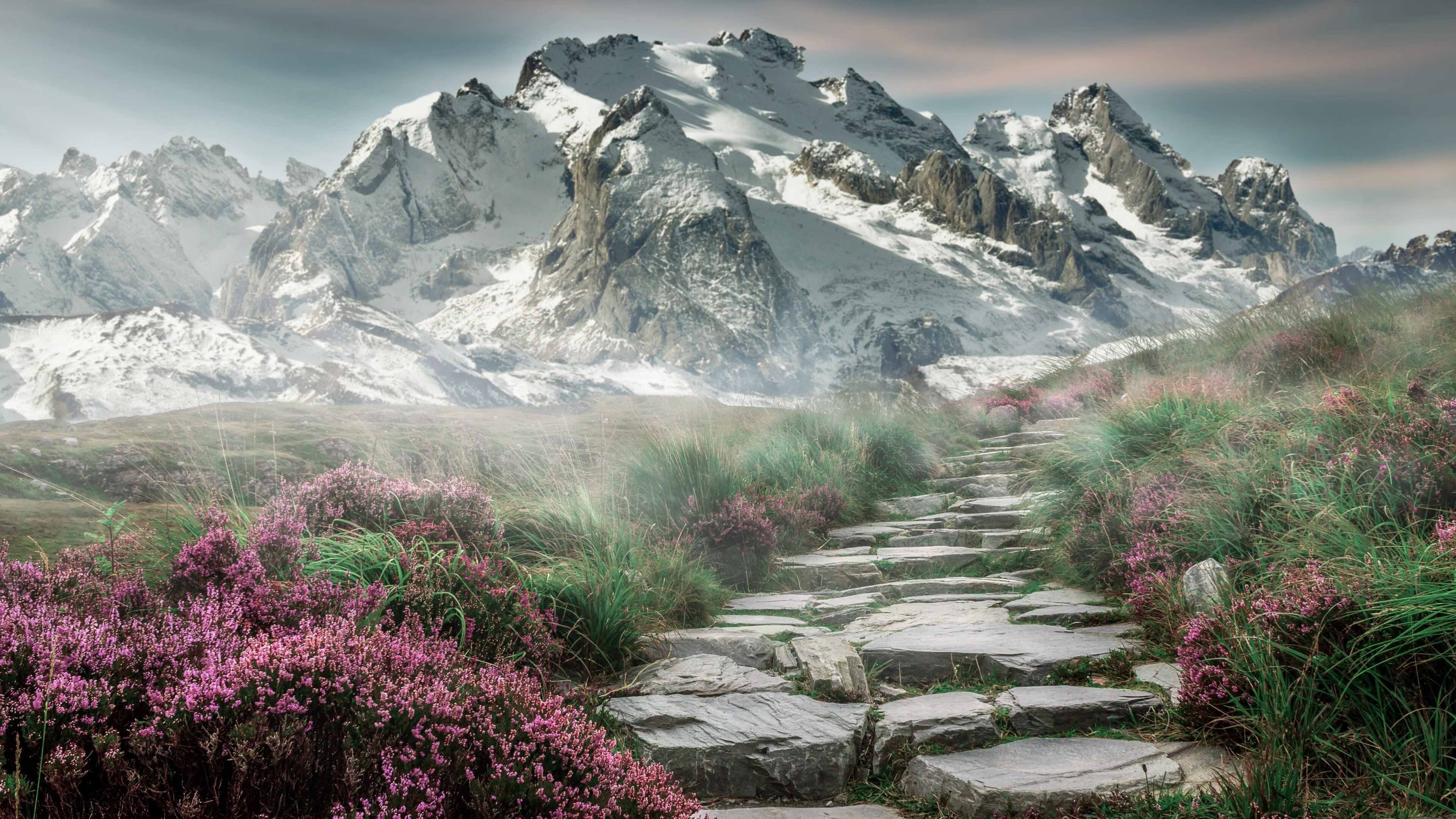 枫叶压境与雏鹰振翅，当团队荣耀遇见个人里程碑