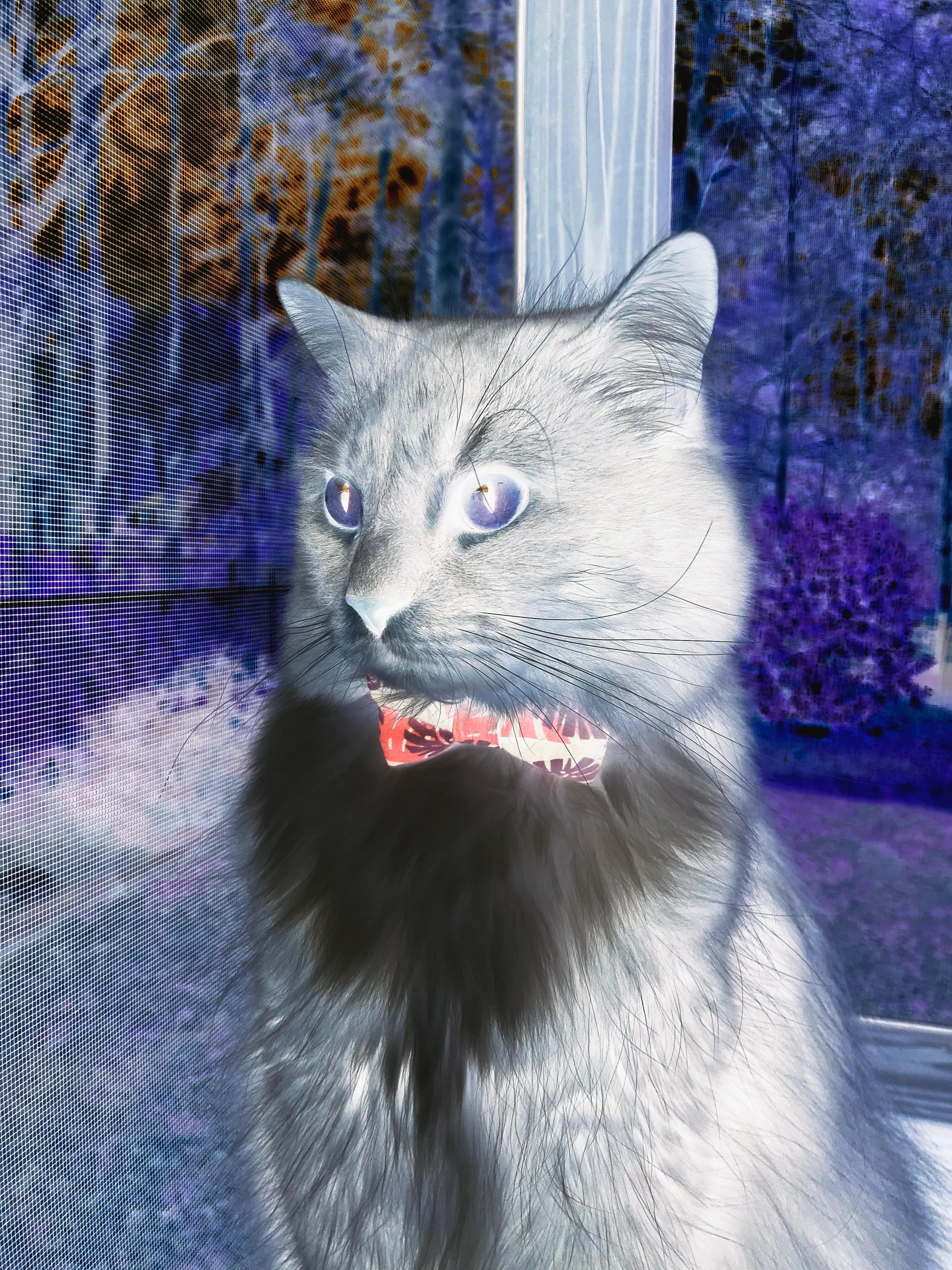 绿茵场的握手，当比利亚雷亚尔对阵秘鲁，卢卡库的里程碑如何丈量足球的世界