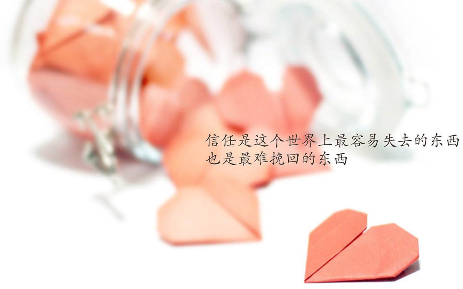 星辰与沙漠的碰撞,喀麦隆雄狮遭遇东瀛武士,C罗在2026世界杯C组书写唯一传奇