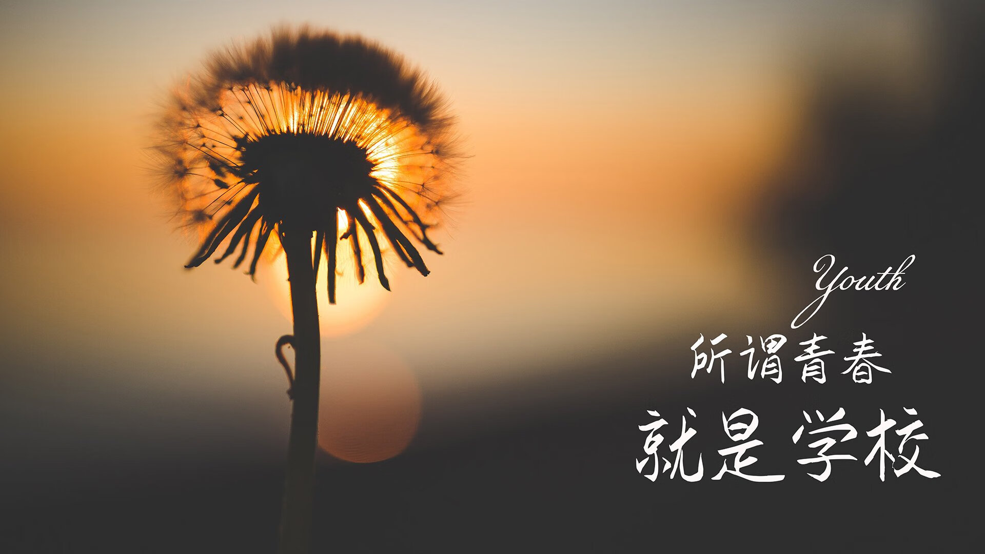 2026世界杯F组惊世之战，泰国铁骑碾碎德国战车，塔雷米独造传奇之夜