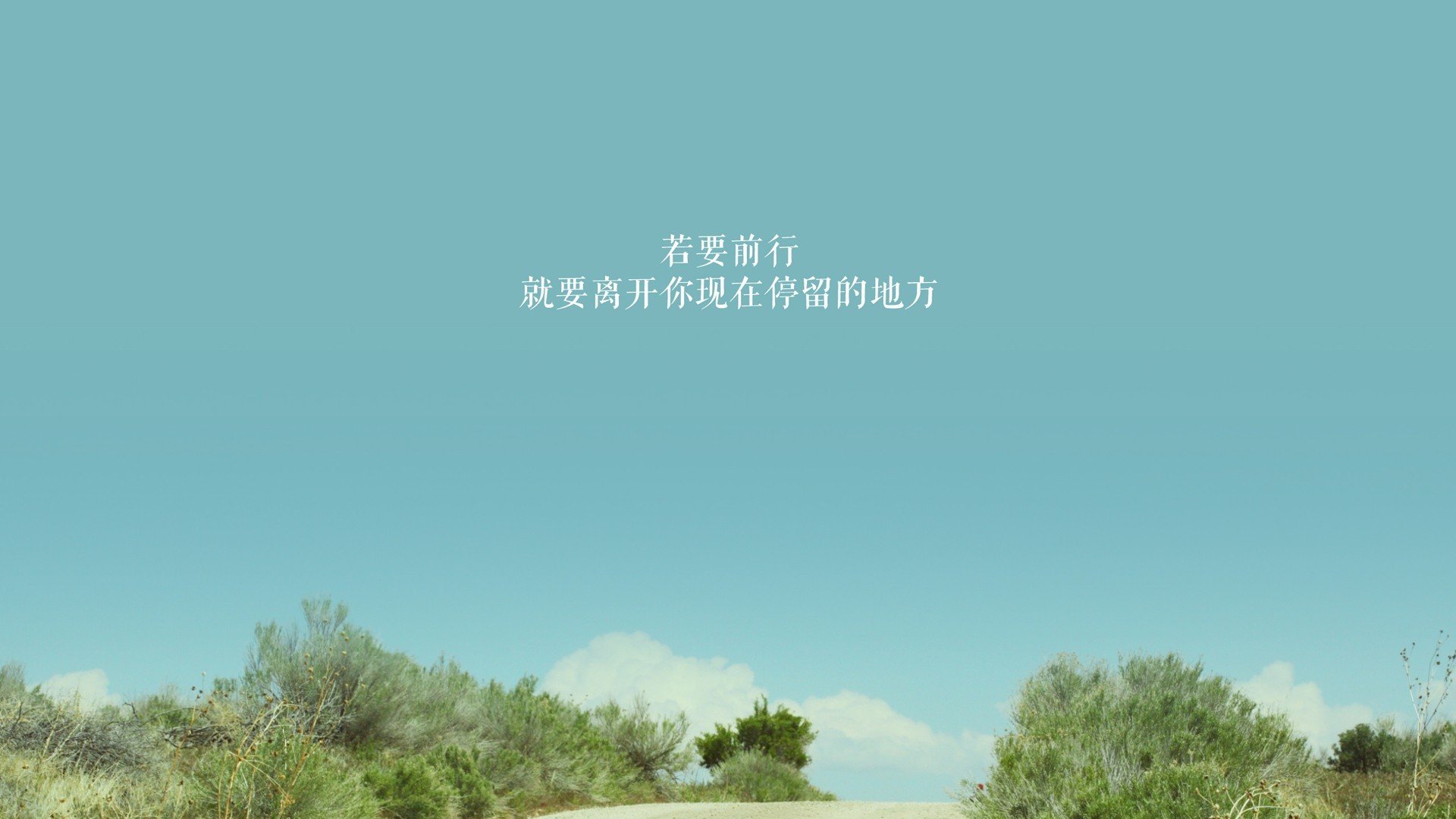 疾风骤雨中的唯一交响，2026世界杯B组，厄瓜多尔与喀麦隆的攻守之舞，维尼修斯奏响逆转华章